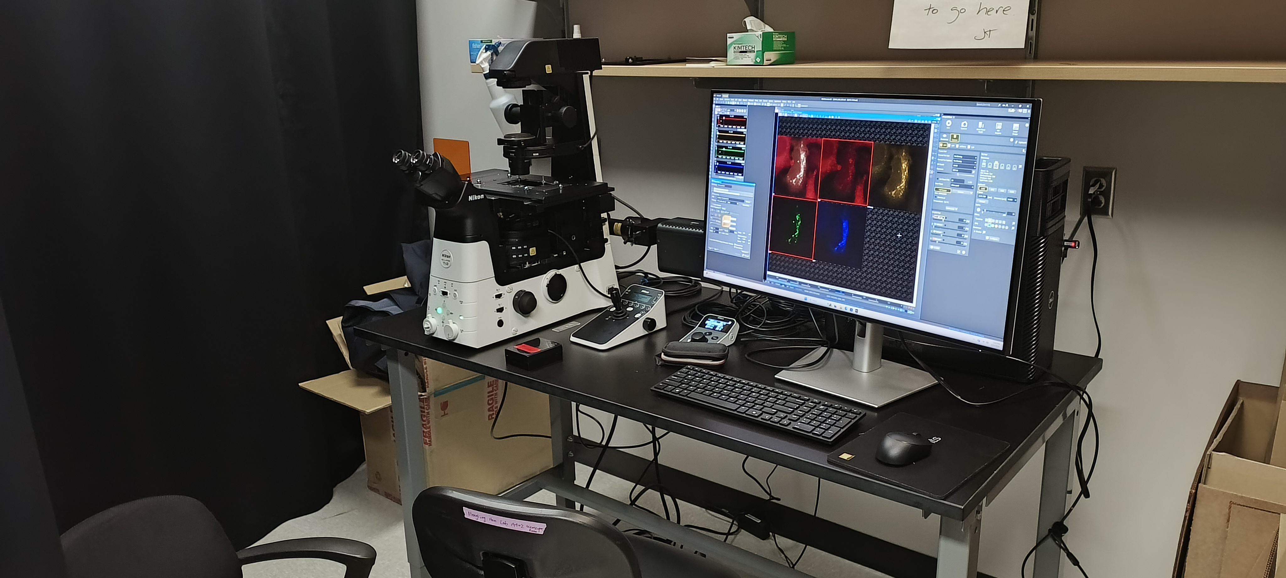 Han Lab Microscope Moments in Han Lab | Mengting Han Lab